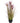 Water Bamboo Grass 24 Inch