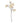 The Natural Garden Collection Pale Apricot Magnolia Stem