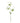 The Natural Garden Collection White Sweetpea Stem