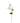 The Natural Garden Collection Pale Pink Sweetpea Stem