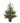 Potted Natural Pine Tree