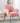 Mia Modern Accent Chair in Pink Velvet with Piping Detail and Metal Legs